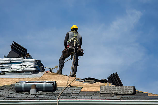 Professional Roof Replacement technician working in Evinston, FL